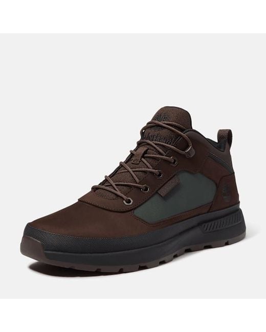 Timberland Brown Field Trekker Sneaker for men