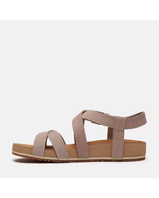 Timberland Brown Malibu Waves Backstrap Sandal For