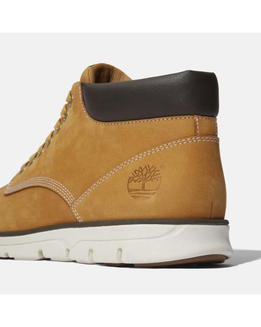 Timberland Brown Bradstreet Mid Trainer For for men
