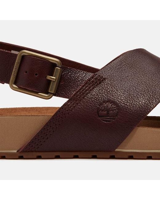 Timberland Brown Malibu Waves Basic Backstrap Sandal For