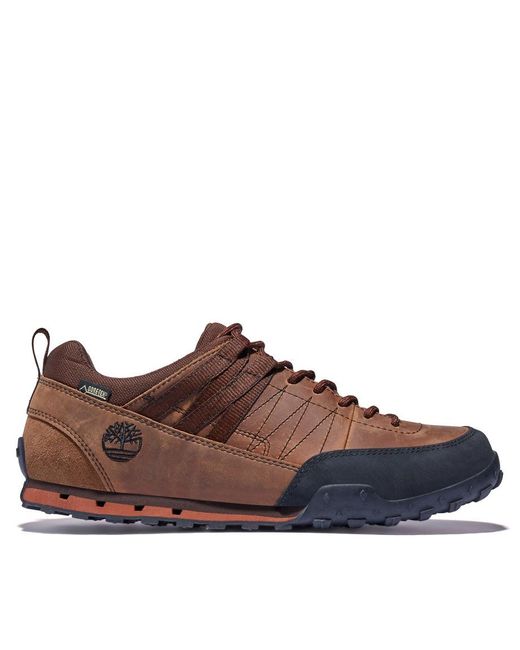 Chaussure De Randonnée Basse Greeley Approach Timberland pour ... Chaussure De Randonnée Basse Greeley Approach Timberland pour ...