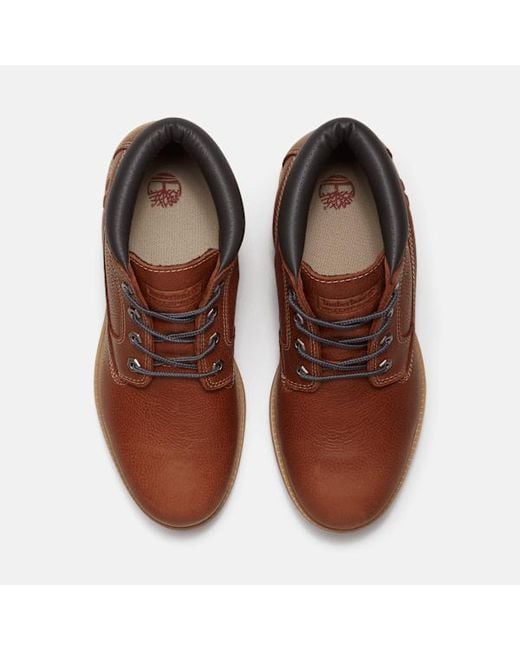 Timberland Brown Road Trip Premium Waterproof Chukka Boot For for men