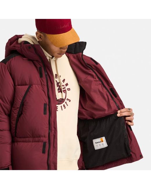 Timberland Re:down Howker Puffer Jacket For Men In Red, Man, Red, Size: 3xl for men