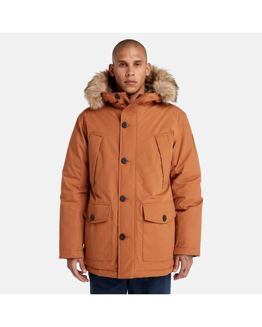 Timberland Brown Scar Ridge Parka With Dryvent Technology for men