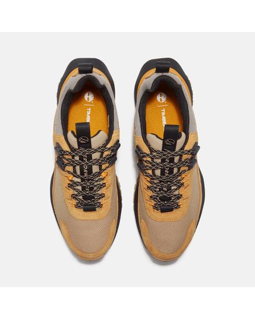 Timberland Brown Motion Access Waterproof Trainer For for men