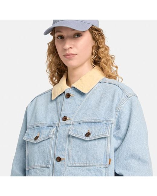 Timberland Blue All Gender Corduroy Collared Denim Jacket