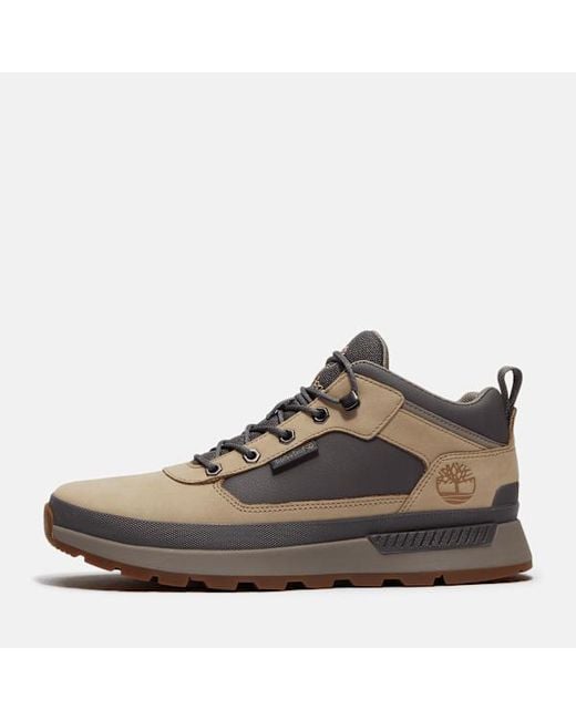 Timberland Brown Field Trekker Trainer For for men