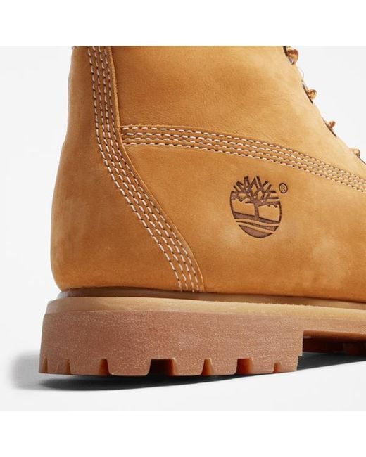 Timberland Brown Premium 6-Inch Waterproof Boot For