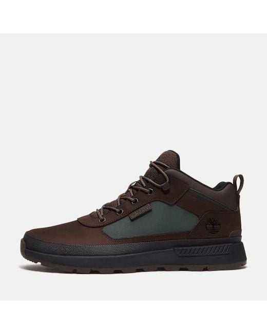 Timberland Brown Field Trekker Sneaker for men