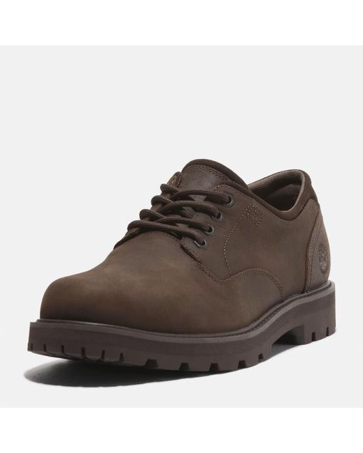 Timberland Britton Road Waterproof Shoe For Men In Dark Brown, Man, Brown, Size: 6.5 for men