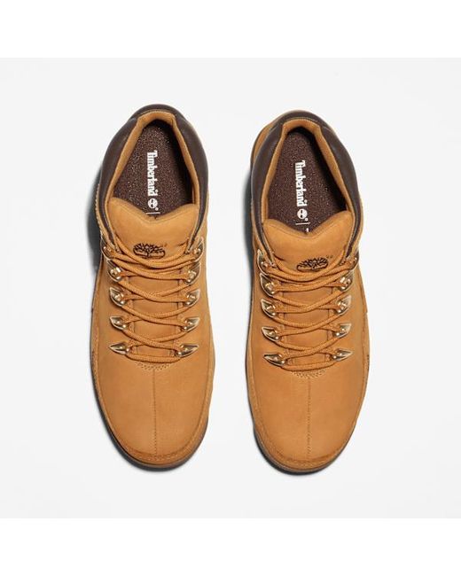 Timberland Brown Euro Rock Mid Hiking Boot For for men