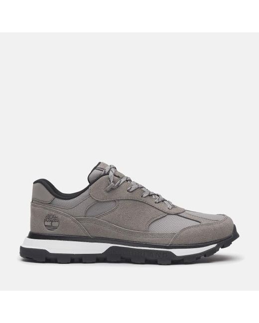 Timberland Gray Treeline Low Lace-up Trainer For Men In Grey, Man, Grey, Size: 12.5 for men