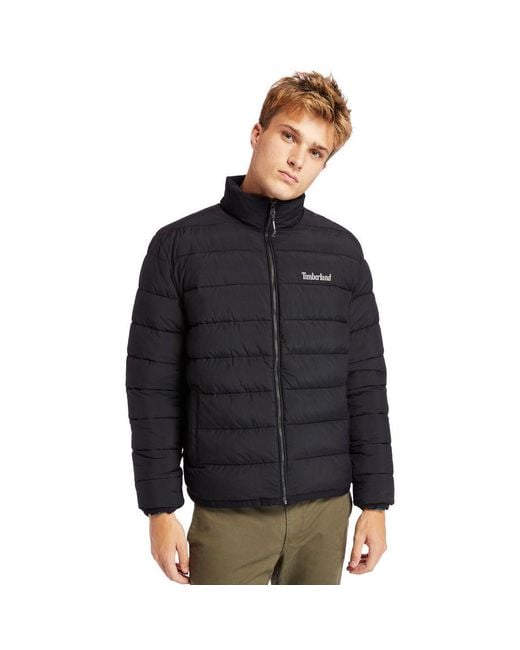 Timberland Black Garfield Funnel-neck Quilted Jacket for men