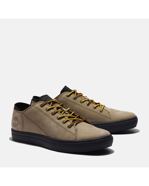 Timberland Brown Adventure 2.0 Trainer for men