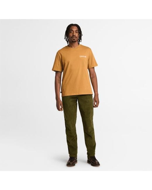 Timberland Corduroy Trousers For Men In Green, Man, Green, Size: 30 for men