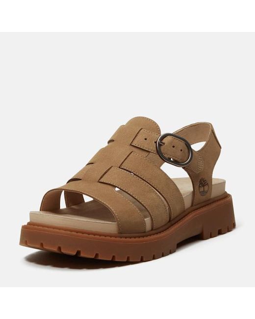 Timberland Brown Clairemont Way Fisherman Sandal For