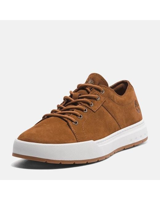 Timberland Brown Maple Grove Trainer For for men