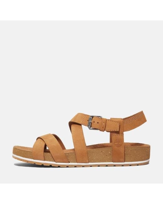 Timberland Brown Malibu Waves Backstrap Sandal For