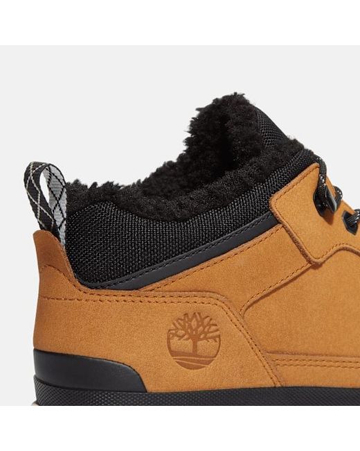 Timberland Brown Field Trekker Warm-Lined Trainer For for men