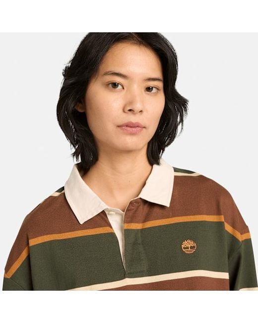 Timberland Black Rugby Polo Shirt In Brown/dark Green, Brown, Size: L