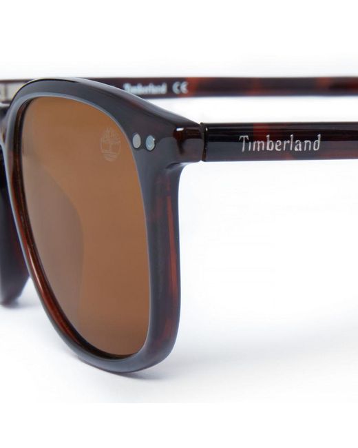 Timberland Brown Vintage Sunglasses