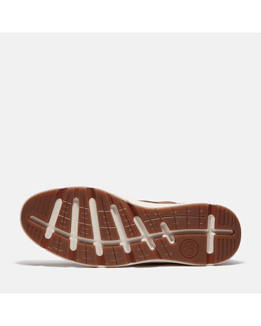 Timberland Brown Parker Street Trainer For for men