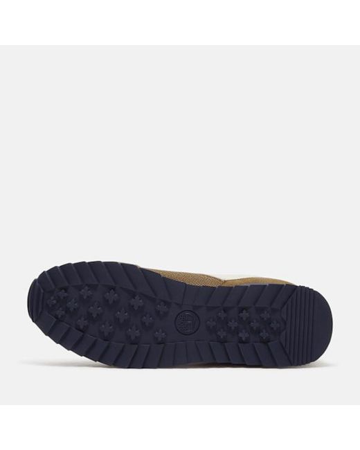 Timberland Brown Scout Heights Trainer For for men