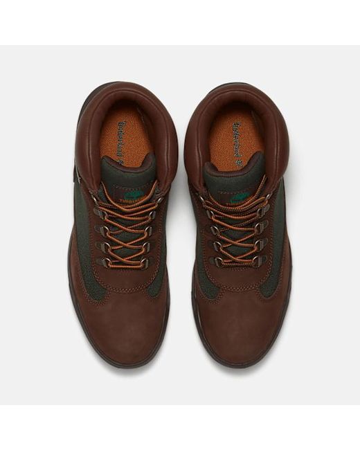 Timberland Brown Re-Engineered Waterproof Field Boot For for men