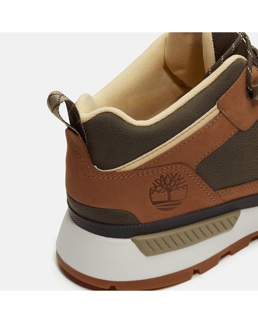 Timberland Brown Field Trekker Sneaker for men