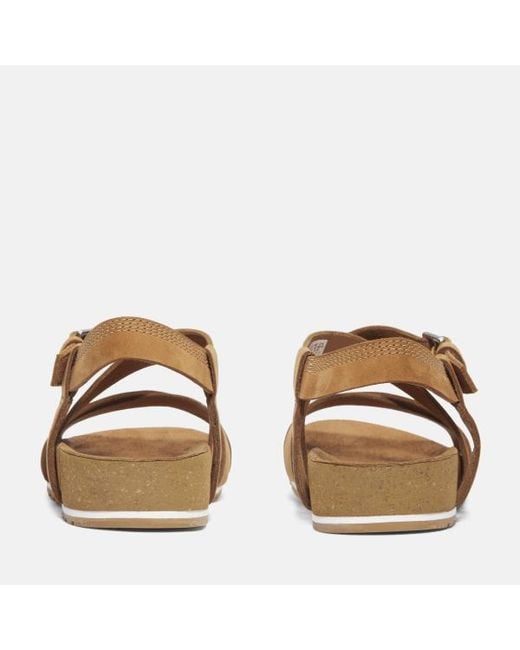 Timberland Brown Malibu Waves Backstrap Sandal For