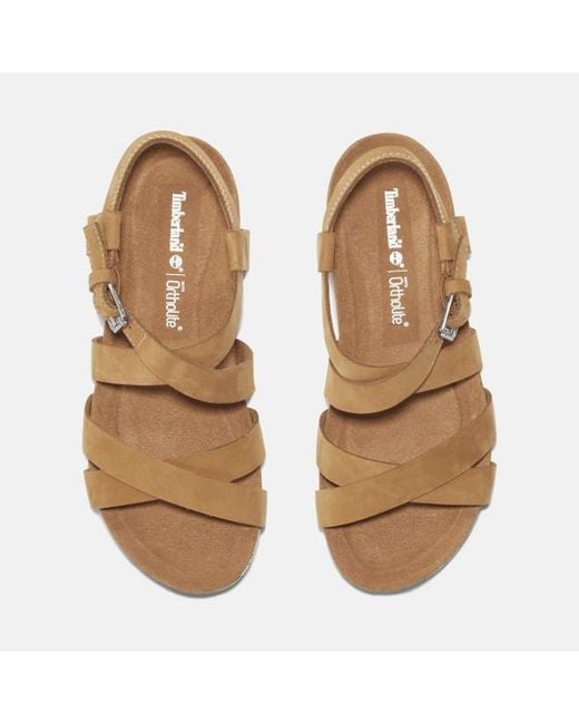 Timberland Brown Malibu Waves Backstrap Sandal For