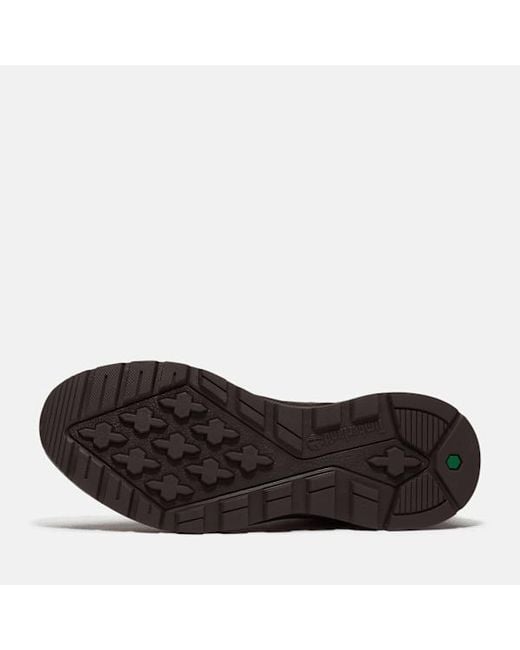 Timberland Brown Field Trekker Sneaker for men