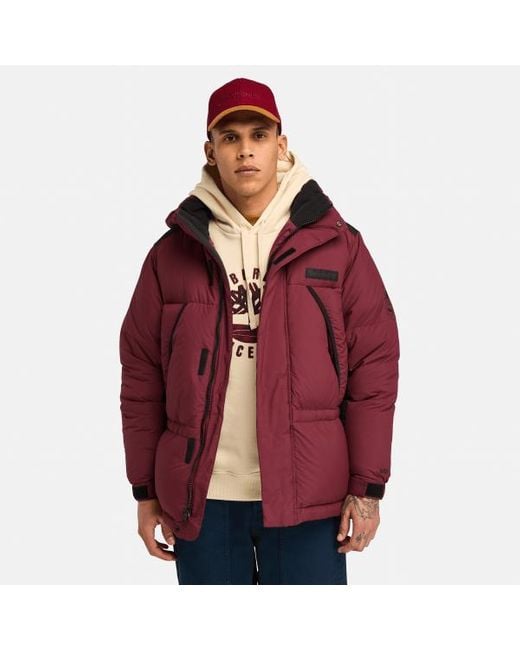 Timberland Re:down Howker Puffer Jacket For Men In Red, Man, Red, Size: 3xl for men