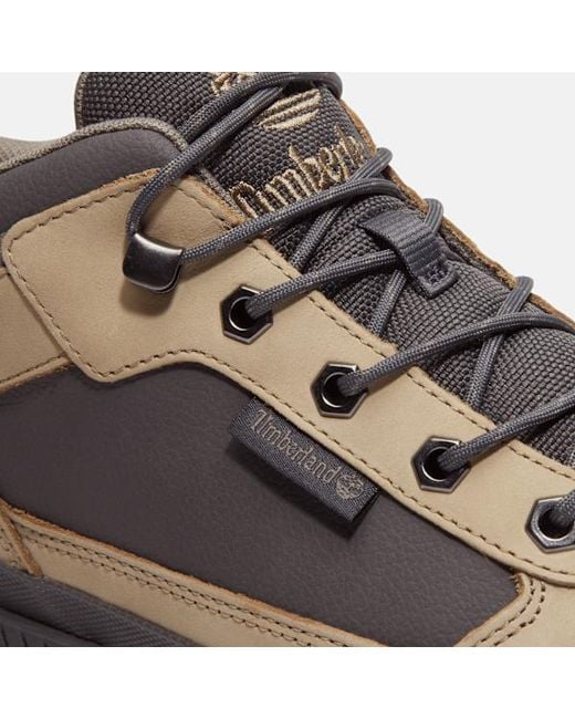 Timberland Brown Field Trekker Trainer For for men
