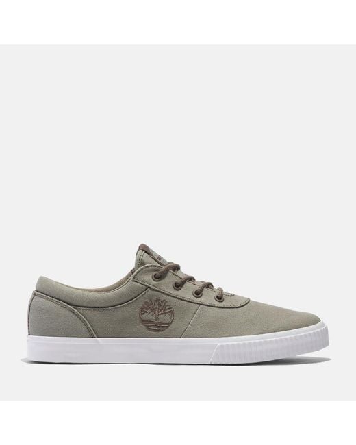 Timberland Gray Mylo Bay Trainer for men