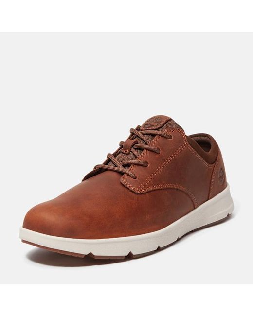 Timberland Brown Parker Street Trainer For for men