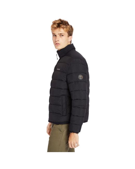 Timberland Black Garfield Funnel-neck Quilted Jacket for men