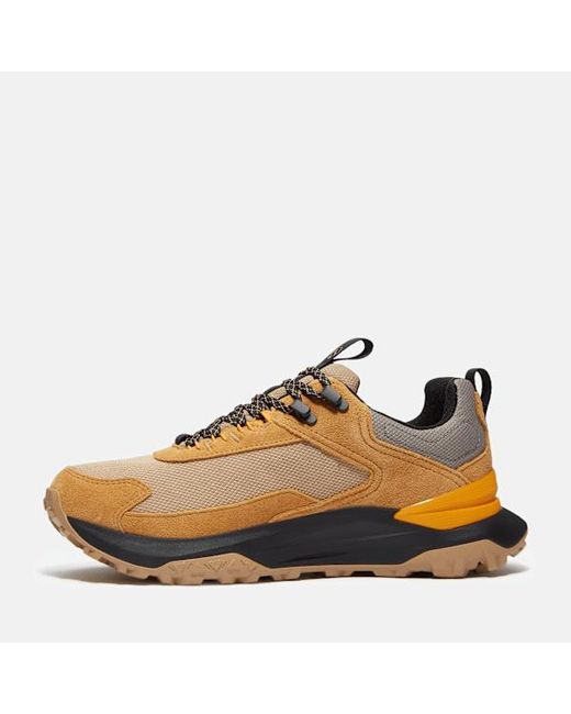 Timberland Brown Motion Access Waterproof Trainer For for men