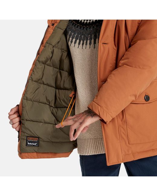 Timberland Brown Scar Ridge Parka With Dryvent Technology for men