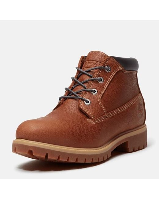 Timberland Brown Road Trip Premium Waterproof Chukka Boot For for men