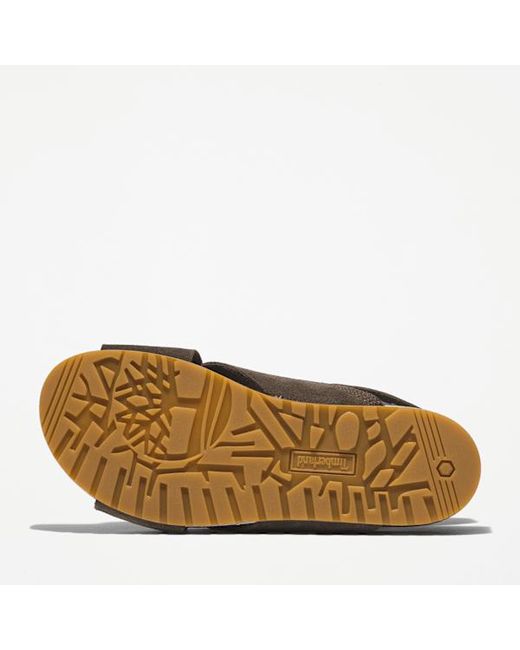 Timberland Brown Malibu Waves Basic Backstrap Sandal For