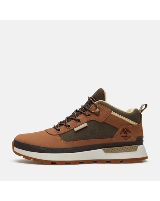 Timberland Brown Field Trekker Sneaker for men