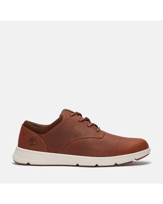 Timberland Brown Parker Street Trainer For for men