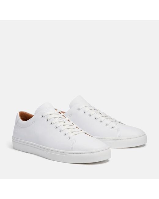 Timberland Dover Park Trainer For Men In White, Man, White, Size: 3.5 for men