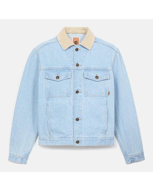 Timberland Blue All Gender Corduroy Collared Denim Jacket