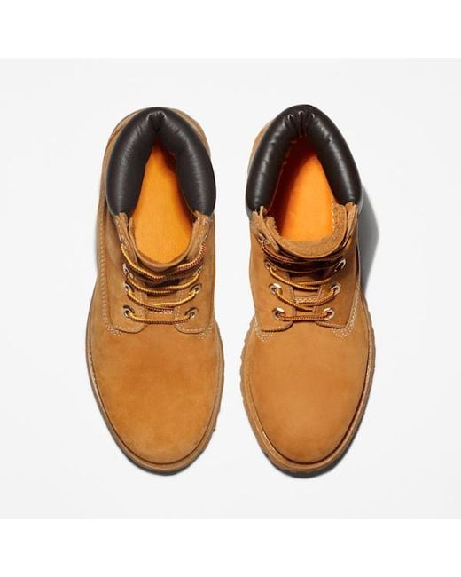 Timberland Brown Premium 6-Inch Waterproof Boot For