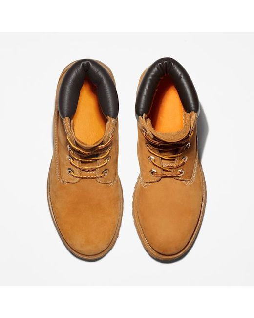 Timberland Brown Premium 6-Inch Waterproof Boot For