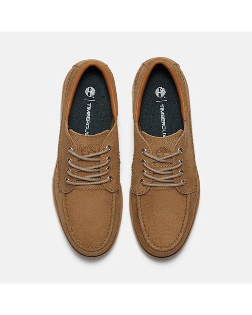 Timberland Brown Britton Mills Shoe For for men