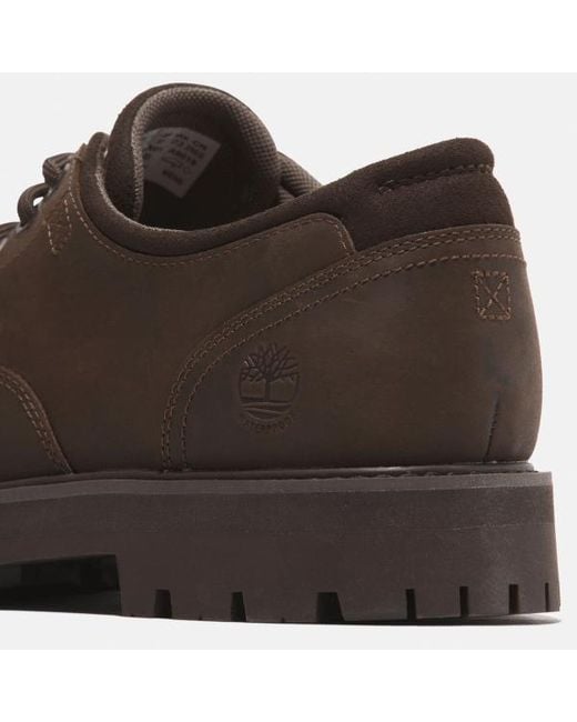 Timberland Britton Road Waterproof Shoe For Men In Dark Brown, Man, Brown, Size: 6.5 for men