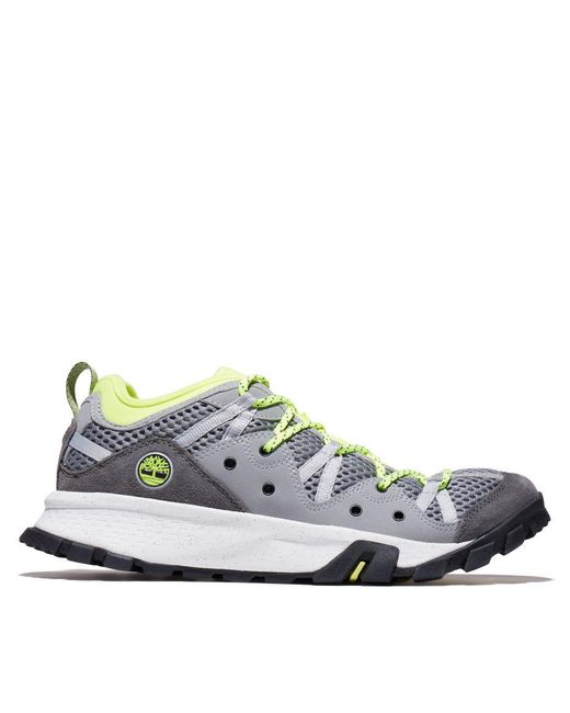 timberland basse grise